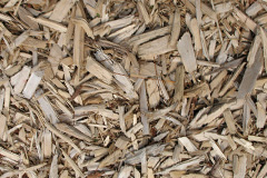 biomass boilers Troston